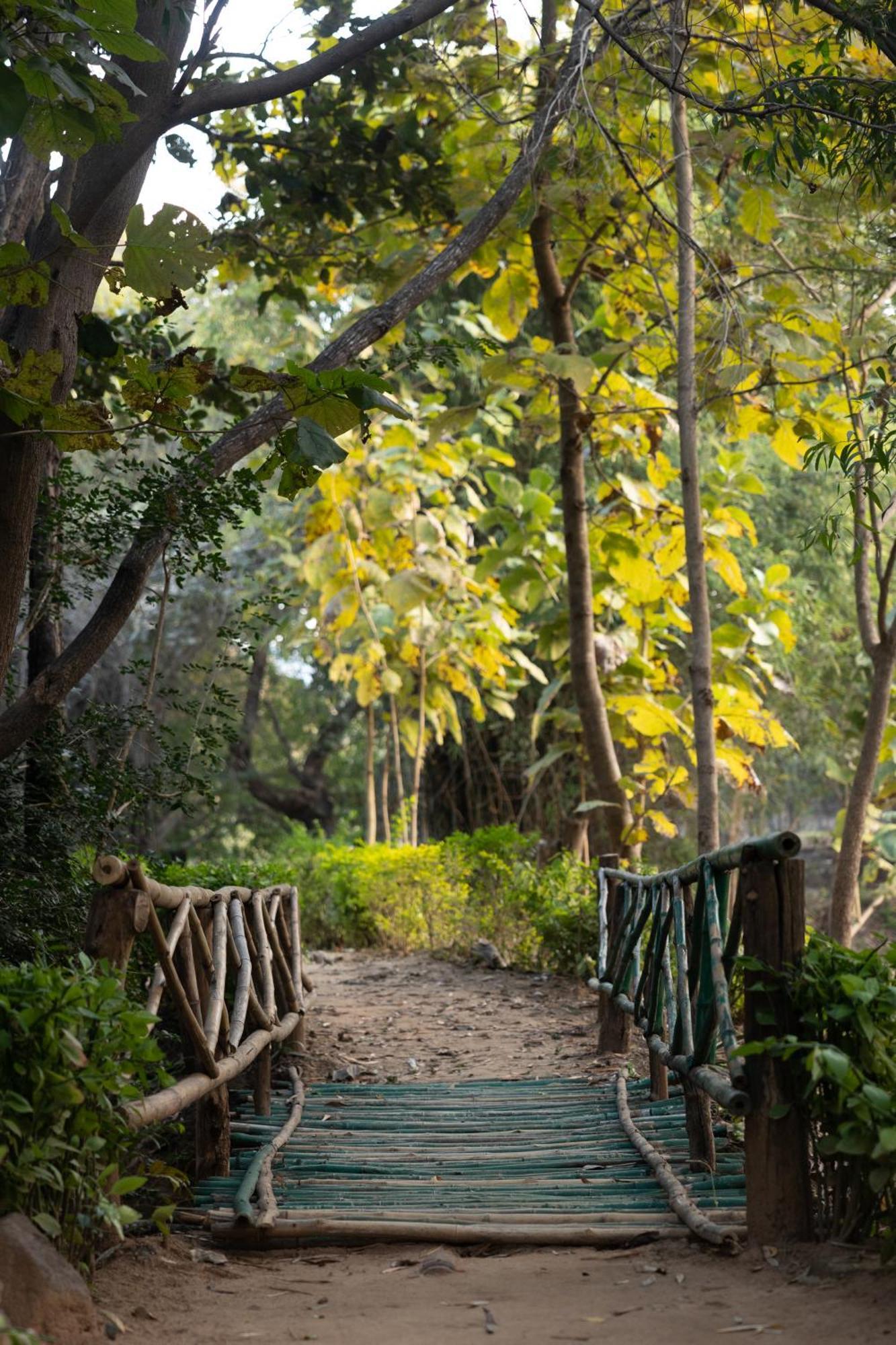 Tiger Trails Resort Tāla Buitenkant foto